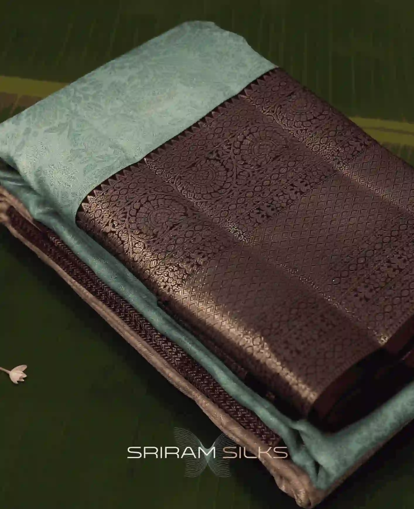 Festive Saree Collection